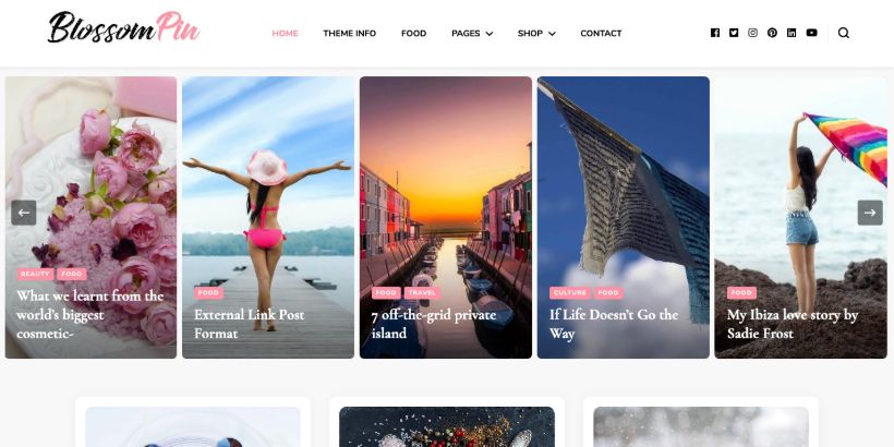 Blossom-Pin-WordPress-Theme