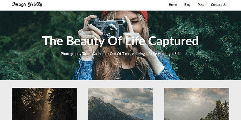 imagegridly free photography wordpress themes