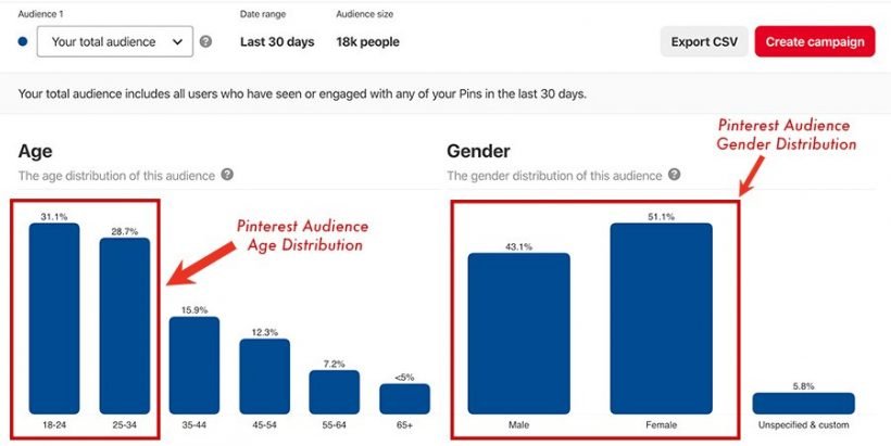 Pinterest Audience