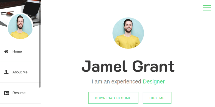 online-cv-resume-wordpress-theme